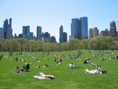 Central Park – סנטרל פארק