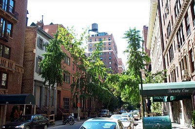 West Village